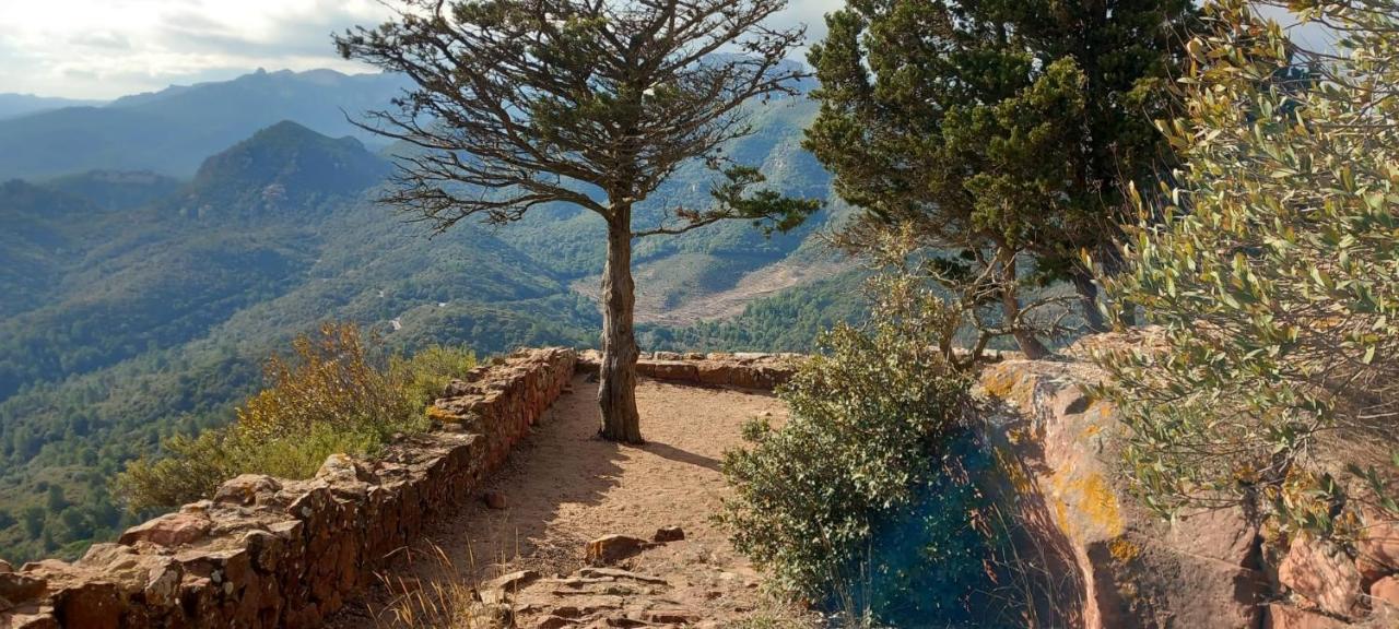Riudecanyes La Casita De Jimena 빌라 외부 사진